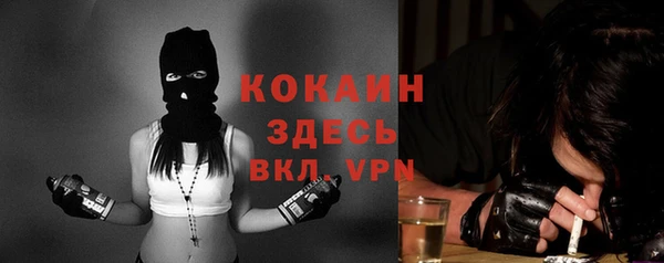 стаф Алексин