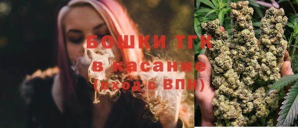 прущие грибы Алексеевка